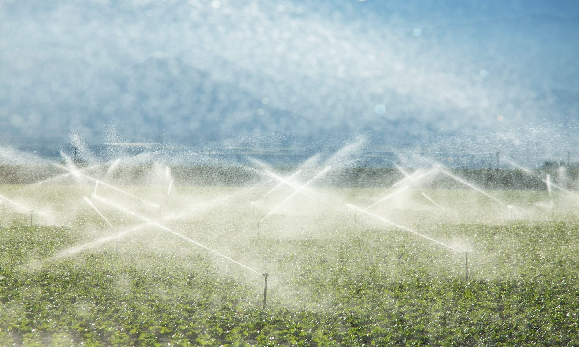 Irrigation