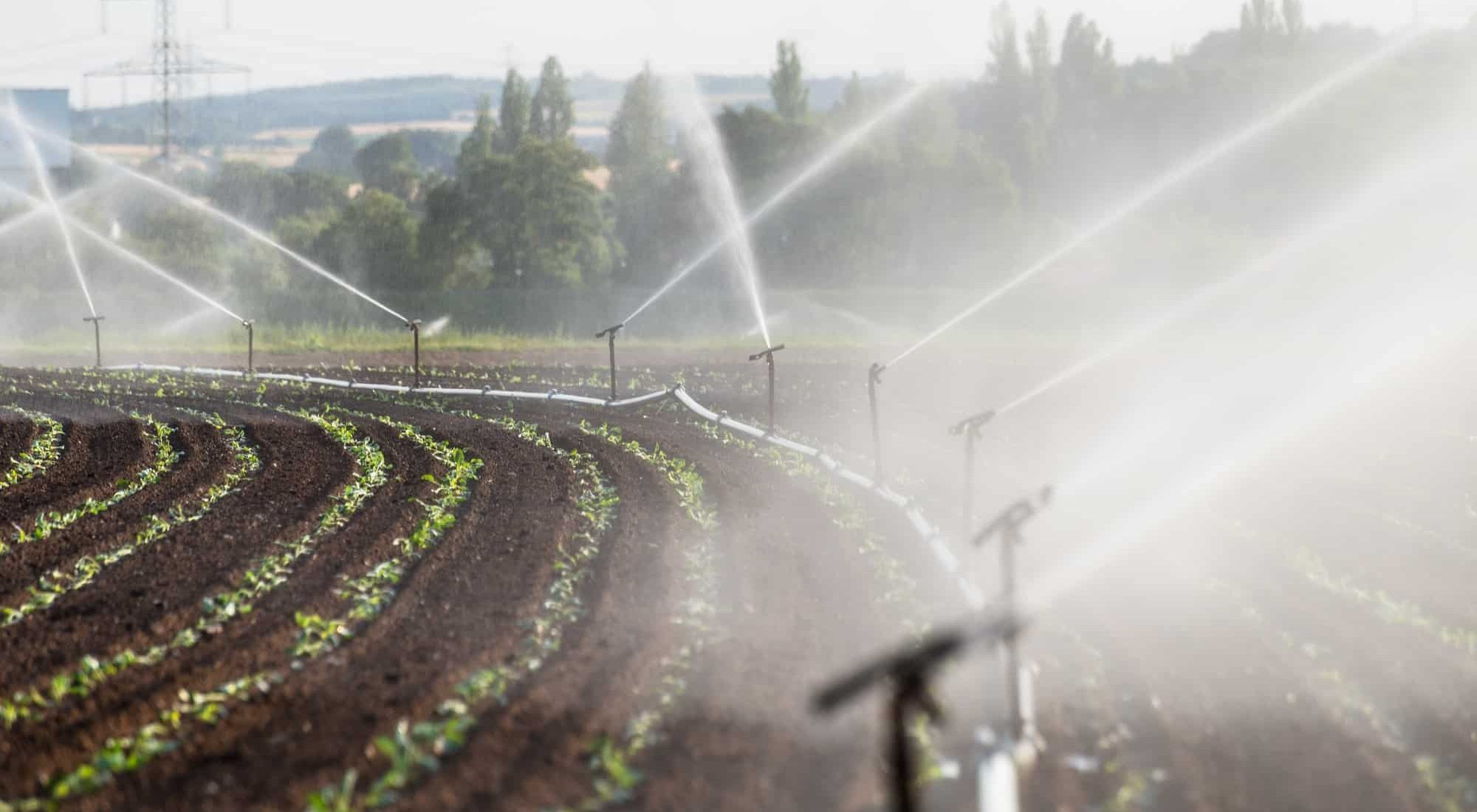 Watering crops in western Germany with Irrigation system using sprinklers in a cultivated field.